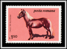 Bucovina