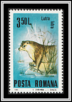 European Otter