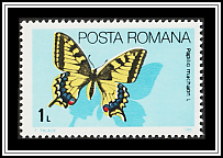 Swallowtail