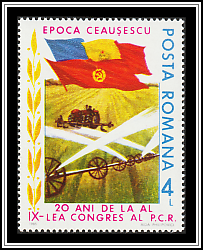 Irrigation System