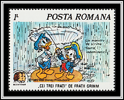 Keeping Raindrops off Father