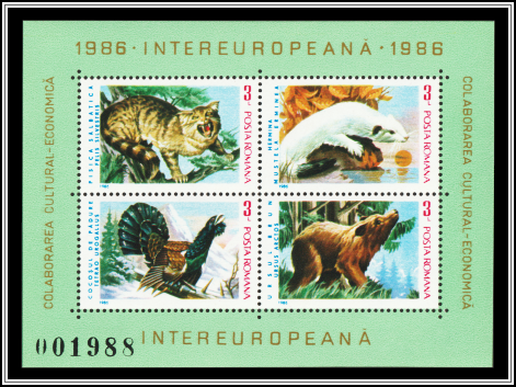 Fauna