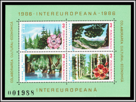 Flora