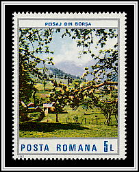 Orchard, Borșa