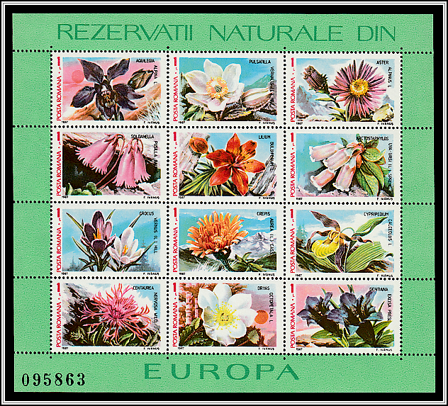 Sheet of 12 Stamps
