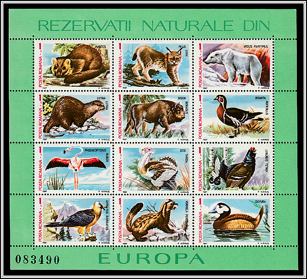 Sheet of 12 Stamps