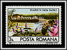 Hives in the Danube Delta