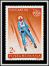 Luge