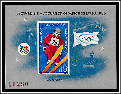 Ski Jumping
