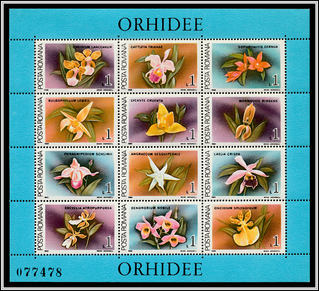 Sheet of 12