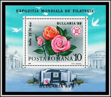 Roses, Exhibition Logo
