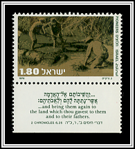 Planting Trees