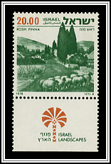Rosh Pinna
