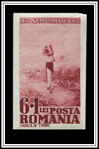 Rodica, the Water Carrier