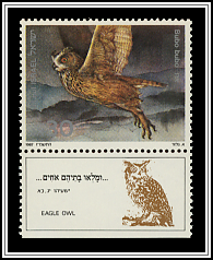 Bubo Bubo