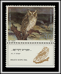 Otus Brucei
