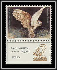 Tyto Alba