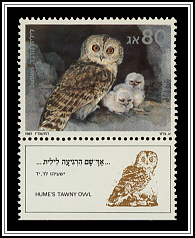 Strix Butleri