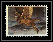 Bubo Bubo