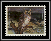 Otus Brucei