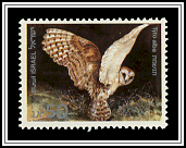 Tyto Alba