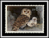 Strix Butleri