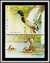 Mallard