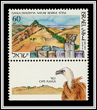 Gemla, Yehudiya