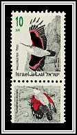 Wallcreeper