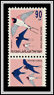 Swallow