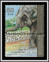 Elephas Maximus