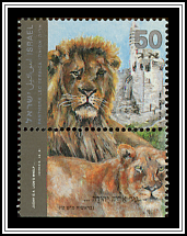 Panthera Leo Persica