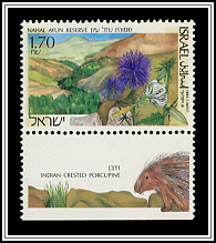 Nahal Ayun