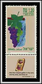 Grapes (Wine)