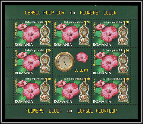 Miracle Flower (Mirabilis jalapa)