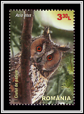 Asio Otus