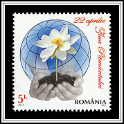 Globe & Flower
