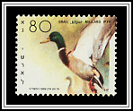 Mallard