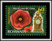 Field Poppy (Papaver rhoeas)