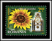 Sunflower (Helianthus annuus)