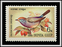 Leptopoecile Sophiae
