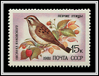 Emberiza Jankowskii