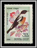 Saxicola Insignis