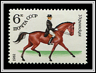 Ukrainian Riding Horse