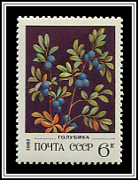 Vaccinium Myrtillus