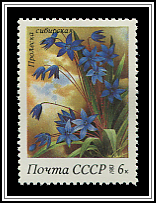 Scilla Bifolia