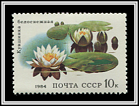 Nymphaea Alba