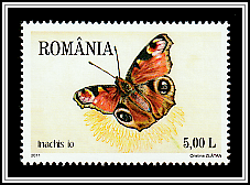 European Peacock (Inachis io)