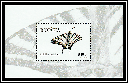 Scarce Swallowtail (Iphiclides podalirius)