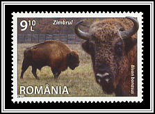Bison Bosanus